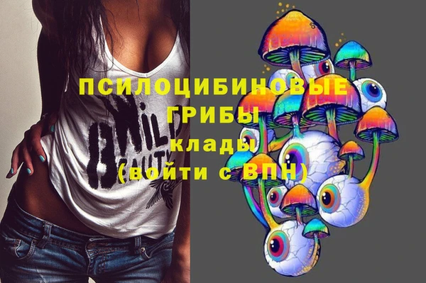 метадон Алексин