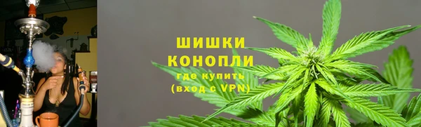 метадон Алексин