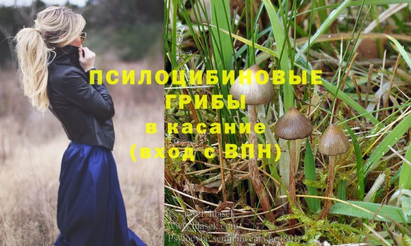 кокс Алзамай