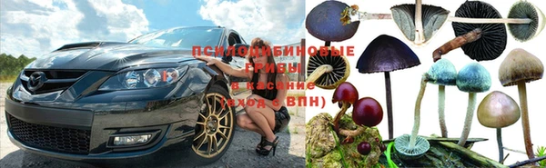 ПСИЛОЦИБИНОВЫЕ ГРИБЫ Абинск