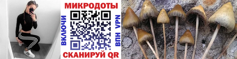 Галлюциногенные грибы Psilocybine cubensis ОМГ ОМГ рабочий сайт Благовещенск купить наркотики цена