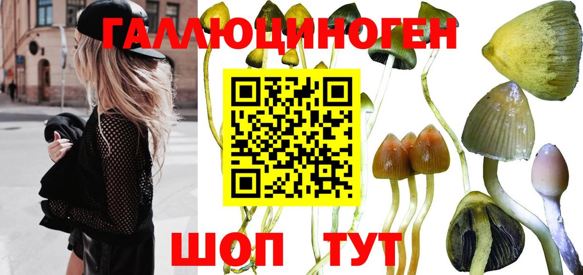 Галлюциногенные грибы ЛСД Благовещенск