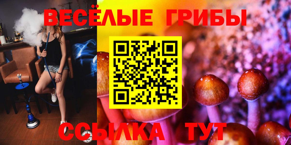 Псилоцибиновые грибы Magic Shrooms  Вход с VPN  как найти наркотики  Благовещенск 